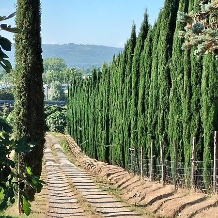 Villa Camugnano Farm Rapolano Terme Esterno foto