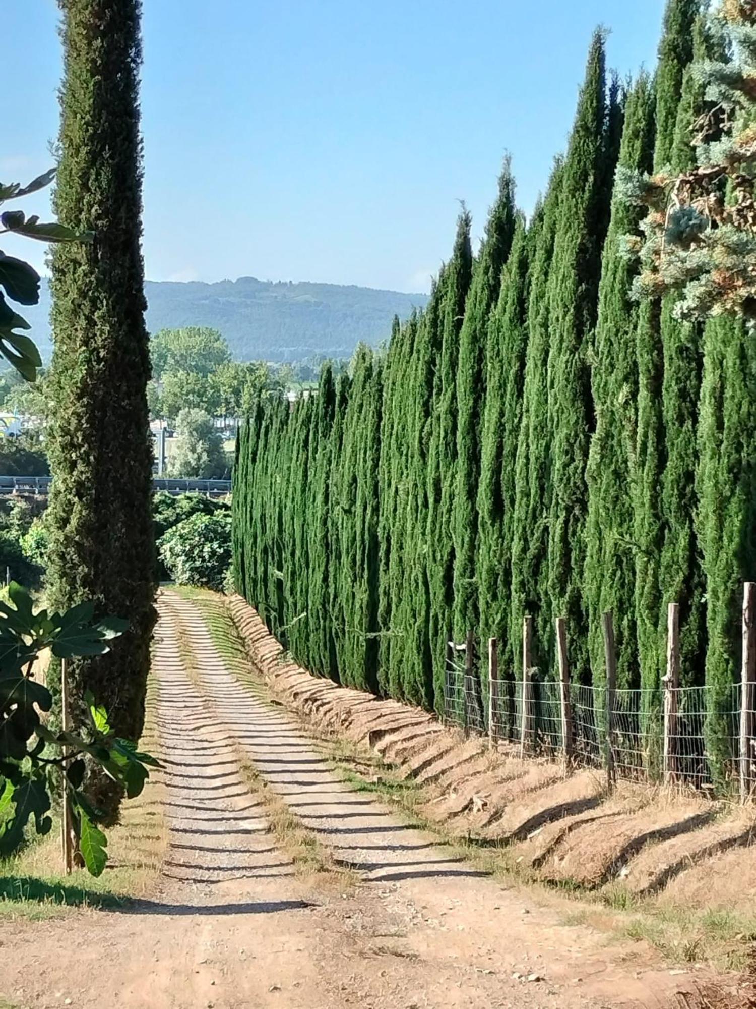Villa Camugnano Farm Rapolano Terme Esterno foto