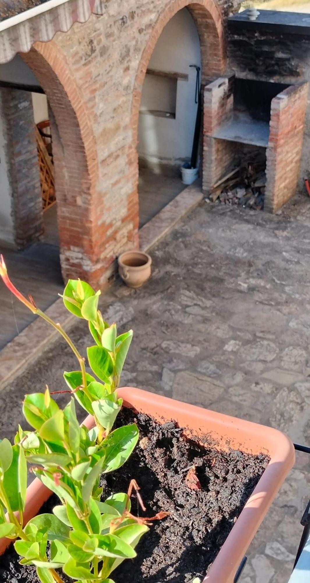 Villa Camugnano Farm Rapolano Terme Esterno foto